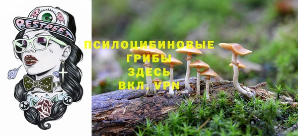 не бодяженный Баксан