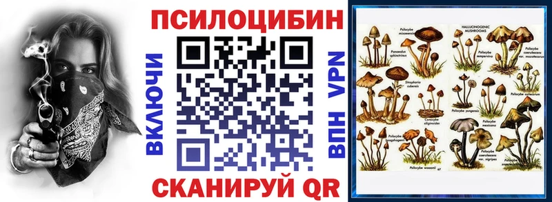 даркнет сайт  MEGA ТОР  Галлюциногенные грибы прущие грибы  Ясногорск 
